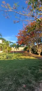 Prédio Comercial com 4 Quartos à venda, 2000m² no Araçagy, São José de Ribamar