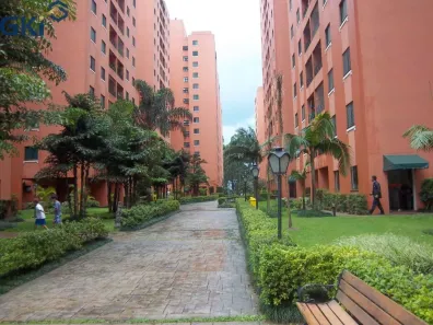 Apartamento com 3 Quartos para alugar, 63m² no Vila do Castelo, São Paulo