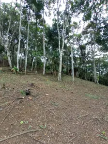 Fazenda/Sítio à venda, 92m² no Limeira Baixa, Brusque
