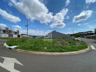 Lote/Terreno à venda, 200m² no Cará-cará, Ponta Grossa