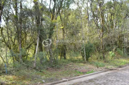 Lote/Terreno à venda, 420m² no Carniel, Gramado