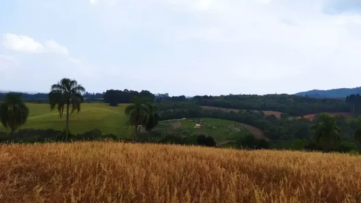 Fazenda/Sítio à venda, 39823m² no Bugre, Balsa Nova