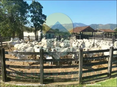 Fazenda/Sítio com 6 Quartos à venda, 4800000m² no Bazílio, Rio Bonito