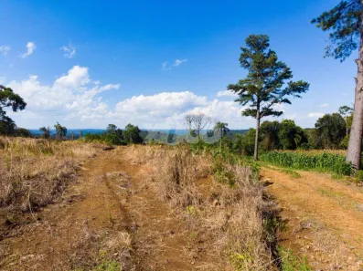 Lote/Terreno à venda, 5000m² no Dos Boêmios, Nova Petrópolis