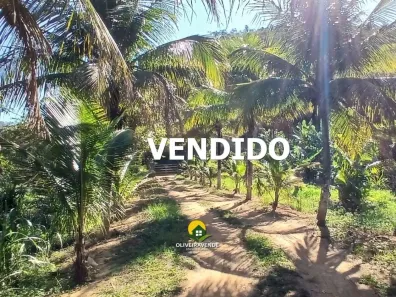 Fazenda/Sítio com 1 Quarto à venda, 24800m² no Lagoa Verde, Tanguá