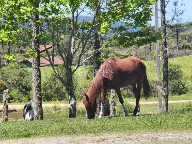 Fazenda/Sítio com 18 Quartos à venda, 800m² no , Rancho Queimado