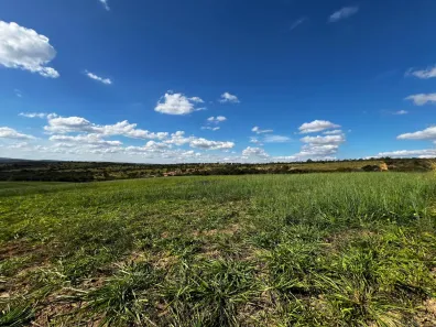 Fazenda/Sítio com 6 Quartos à venda, 3680000m² no , Martinho Campos