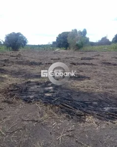 Fazenda/Sítio com 1 Quarto à venda, 12m² no Centro, Patis