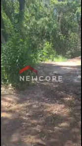 Fazenda/Sítio com 4 Quartos à venda, 150m² no Chácara Santa Margarida, Campinas