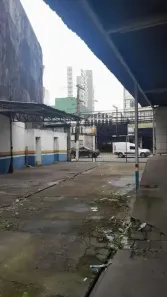 Lote/Terreno para venda ou aluguel, 241m² no Brás, São Paulo