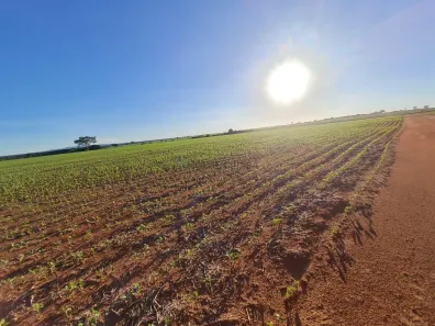 com 3 Quartos à venda, 950m² no Área Rural de Anápolis, Anápolis