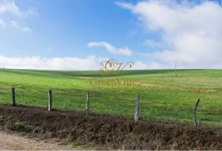 Fazenda/Sítio com 2 Quartos à venda, 1573000m² no Mariental, Lapa