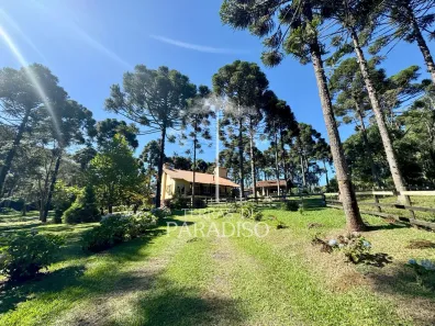 Fazenda/Sítio com 3 Quartos à venda, 30000m² no , Campo Alegre