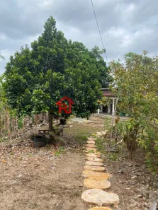 Fazenda/Sítio com 3 Quartos à venda, 21250m² no , Axixá