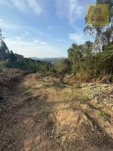 Fazenda/Sítio à venda, 20000m² no Itaqui de Cima, Campo Largo