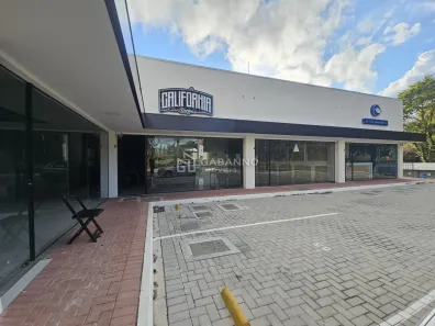Ponto Comercial com 1 Quarto para alugar, 238m² no Santo Inácio, Curitiba
