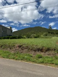 Lote/Terreno à venda, 1000m² no , Mário Campos