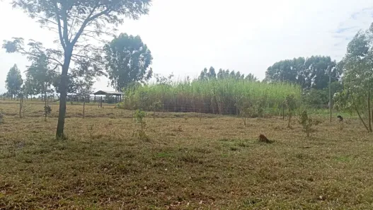 Fazenda/Sítio com 2 Quartos à venda, 70000m² no Área Rural de Campo Grande, Campo Grande