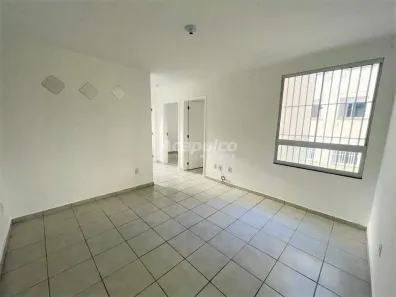 Apartamento com 2 Quartos para alugar, 49m² no Jardim da Balsa II, Americana