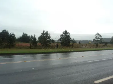 para alugar, 76000m² no Chapada, Ponta Grossa