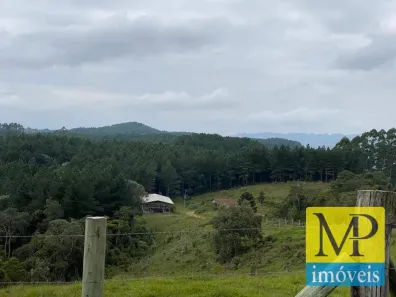 Lote/Terreno à venda, 142500m² no São Domingos, Vidal Ramos