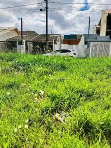 Lote/Terreno à venda, 250m² no Floresta, Cascavel