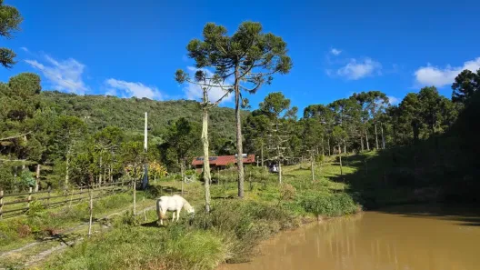Fazenda/Sítio com 3 Quartos à venda, 74000m² no , Bocaina do Sul