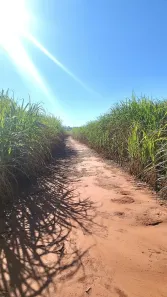 Fazenda/Sítio à venda, 726000m² no , Ivaté