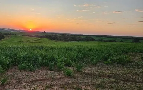 Fazenda/Sítio com 2 Quartos à venda, 80m² no Área Rural de Paulistânia, Paulistânia