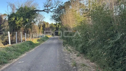 Lote/Terreno à venda, 6000m² no Jardim Guanabara, São Carlos