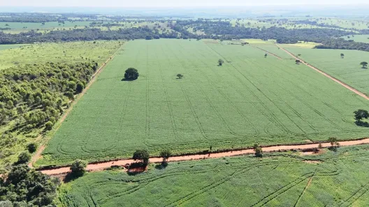 Fazenda/Sítio à venda, 242000m² no Zona Rural, Hidrolândia