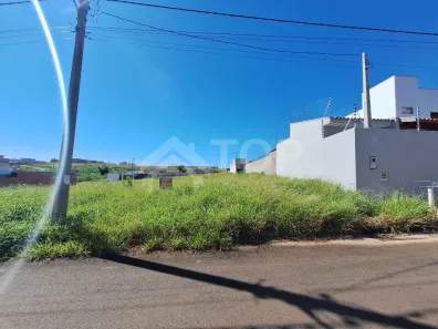 Lote/Terreno à venda, 250m² no Jardim Letícia, São Carlos