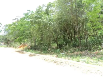 Lote/Terreno à venda, 185m² no Paisagem Casa Grande, Cotia