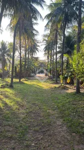 Lote/Terreno à venda, 10000m² no Santa Cruz, Rio de Janeiro