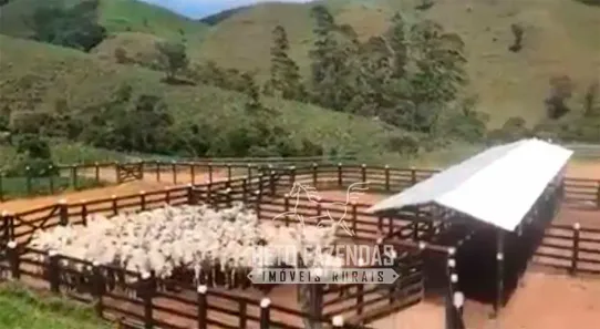 Fazenda/Sítio à venda, 4840000m² no Vila da Grama, Trajano de Moraes