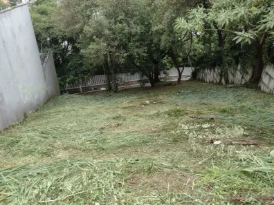 Lote/Terreno à venda, 600m² no Rolinópolis, São Paulo