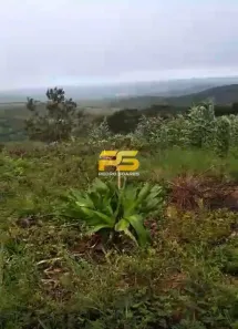 Lote/Terreno à venda, 12000m² no Chã do Lindolfo, Bananeiras