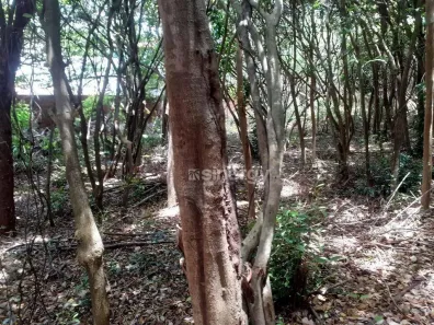 Lote/Terreno à venda, 1715m² no Pipa, Tibau do Sul