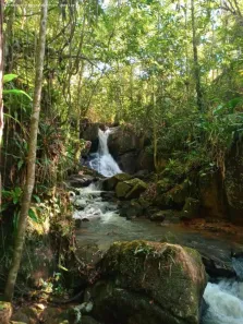 Fazenda/Sítio com 2 Quartos à venda, 61000m² no São Sebastião, Palhoça