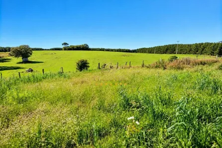 Fazenda/Sítio à venda, 1210000m² no Zona Rural,