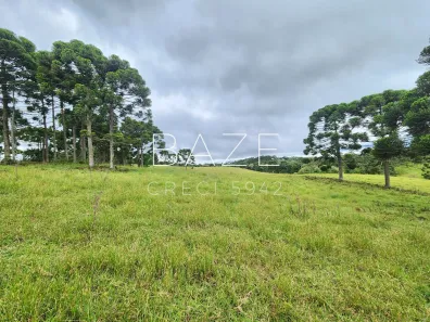 Lote/Terreno à venda, 21570m² no Laranjeiras, Campo Alegre