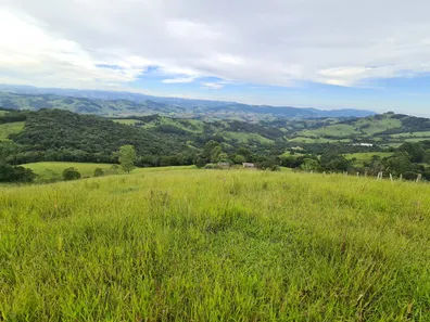 Fazenda/Sítio à venda, 150000m² no Itapeva, Itapeva