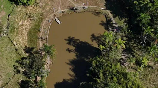 Fazenda/Sítio com 5 Quartos à venda, 200m² no Chácaras Reunidas, São José dos Campos