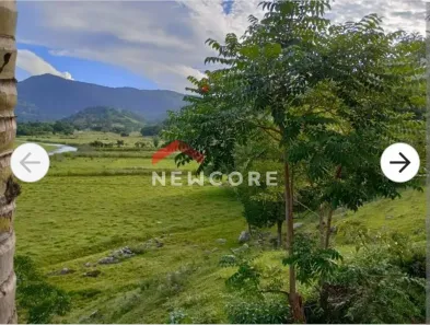 Casa com 3 Quartos à venda, 80m² no Ambrósio, Garopaba