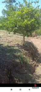 Lote/Terreno à venda, 1780m² no , Natividade da Serra