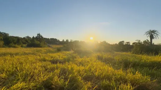 Fazenda/Sítio à venda, 1000m² no Área Rural de Águas Claras, Viamão