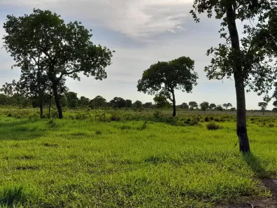 Fazenda/Sítio à venda, 5000000m² no Centro, Coxim