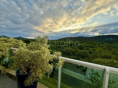 Cobertura com 4 Quartos à venda, 279m² no Jurerê Internacional, Florianópolis