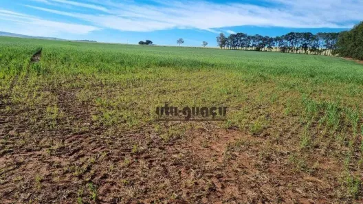 Fazenda/Sítio à venda, 5154600m² no Engenheiro Maia, Itaberá