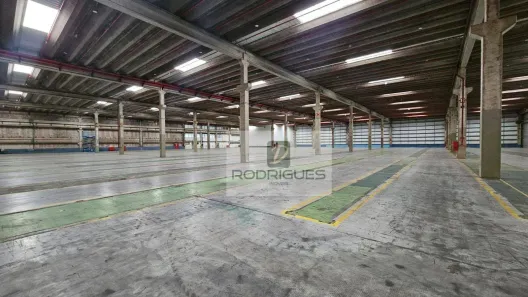 Galpão/Depósito/Armazém para alugar, 9200m² no Cooperativa, São Bernardo do Campo